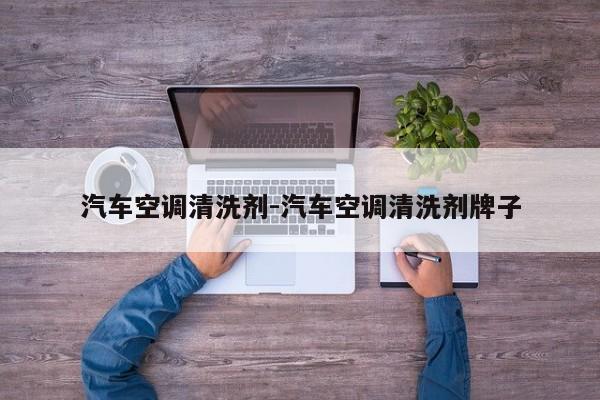汽車空調(diào)清洗劑-汽車空調(diào)清洗劑牌子