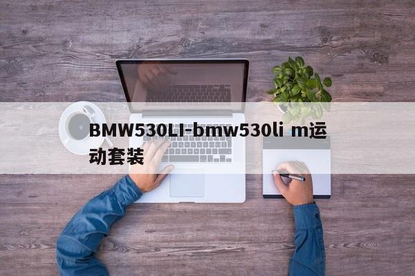 BMW530LI-bmw530li m運動套裝