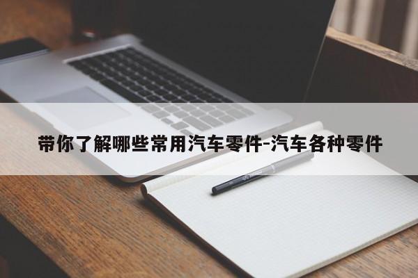 帶你了解哪些常用汽車(chē)零件-汽車(chē)各種零件