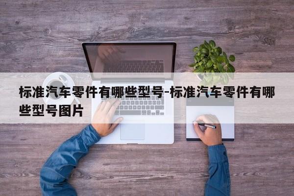 標(biāo)準(zhǔn)汽車零件有哪些型號(hào)-標(biāo)準(zhǔn)汽車零件有哪些型號(hào)圖片