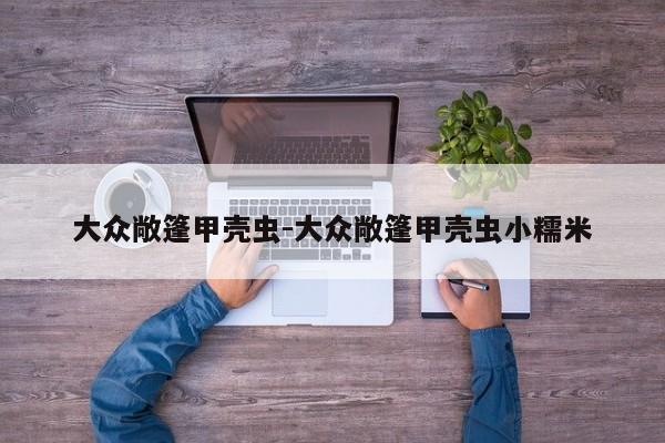 大眾敞篷甲殼蟲(chóng)-大眾敞篷甲殼蟲(chóng)小糯米