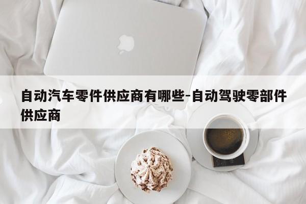 自動汽車零件供應(yīng)商有哪些-自動駕駛零部件供應(yīng)商