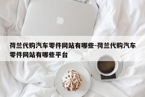 荷蘭代購(gòu)汽車零件網(wǎng)站有哪些-荷蘭代購(gòu)汽車零件網(wǎng)站有哪些平臺(tái)