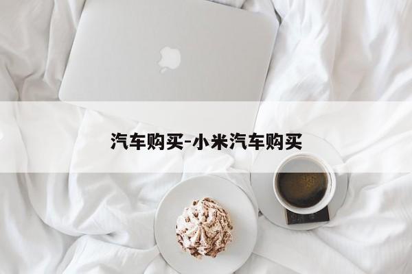 汽車購(gòu)買-小米汽車購(gòu)買