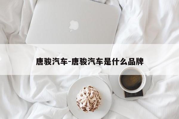 唐駿汽車-唐駿汽車是什么品牌